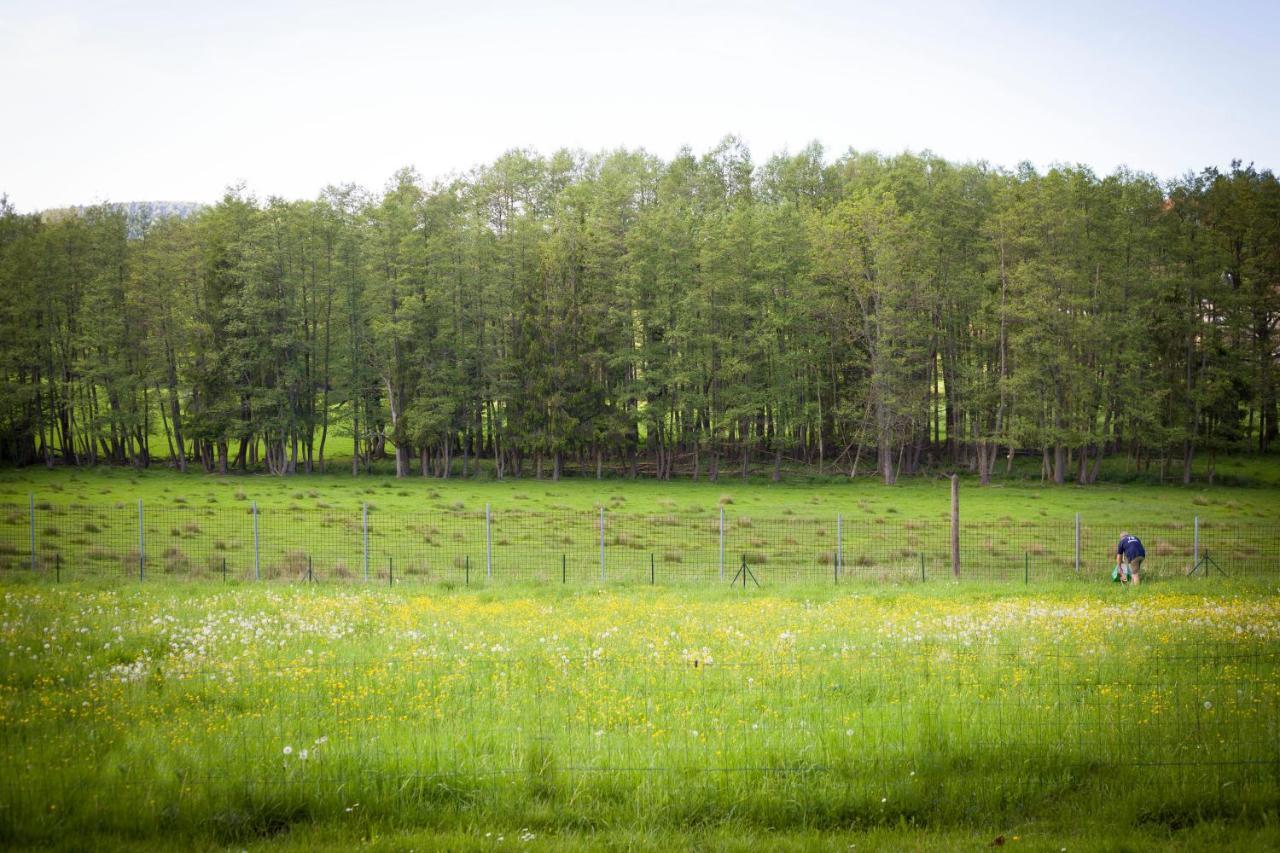 Gite Du Cerf Birkenwald Exterior photo
