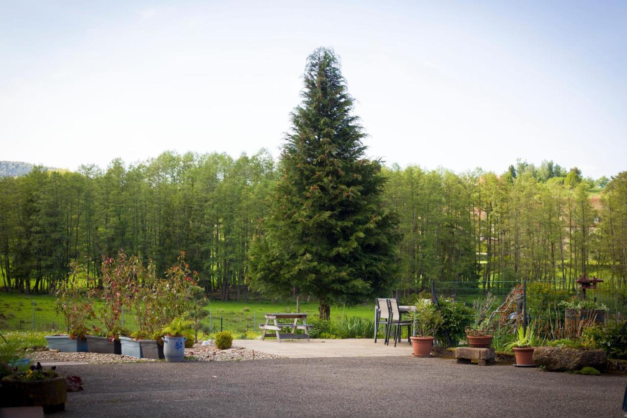 Gite Du Cerf Birkenwald Exterior photo